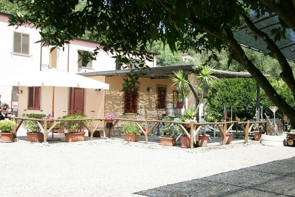 Casa Vacanze Rosy "Nel Verde" Palinuro Room photo