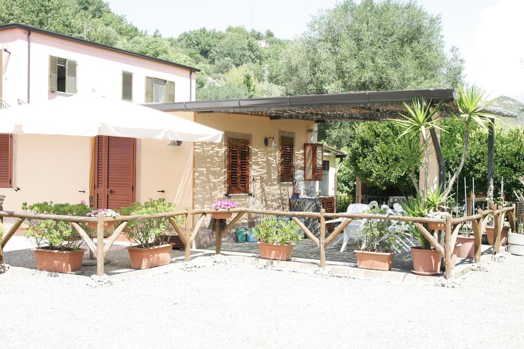 Casa Vacanze Rosy "Nel Verde" Palinuro Room photo